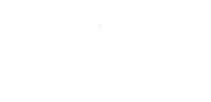 Logo van GGD Gelderland-Zuid